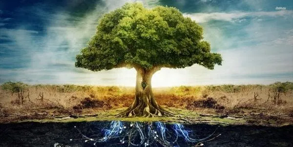 CETESB Environmental Agency